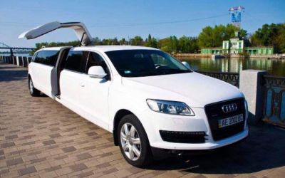 AUDI Q7 Крыло чайки